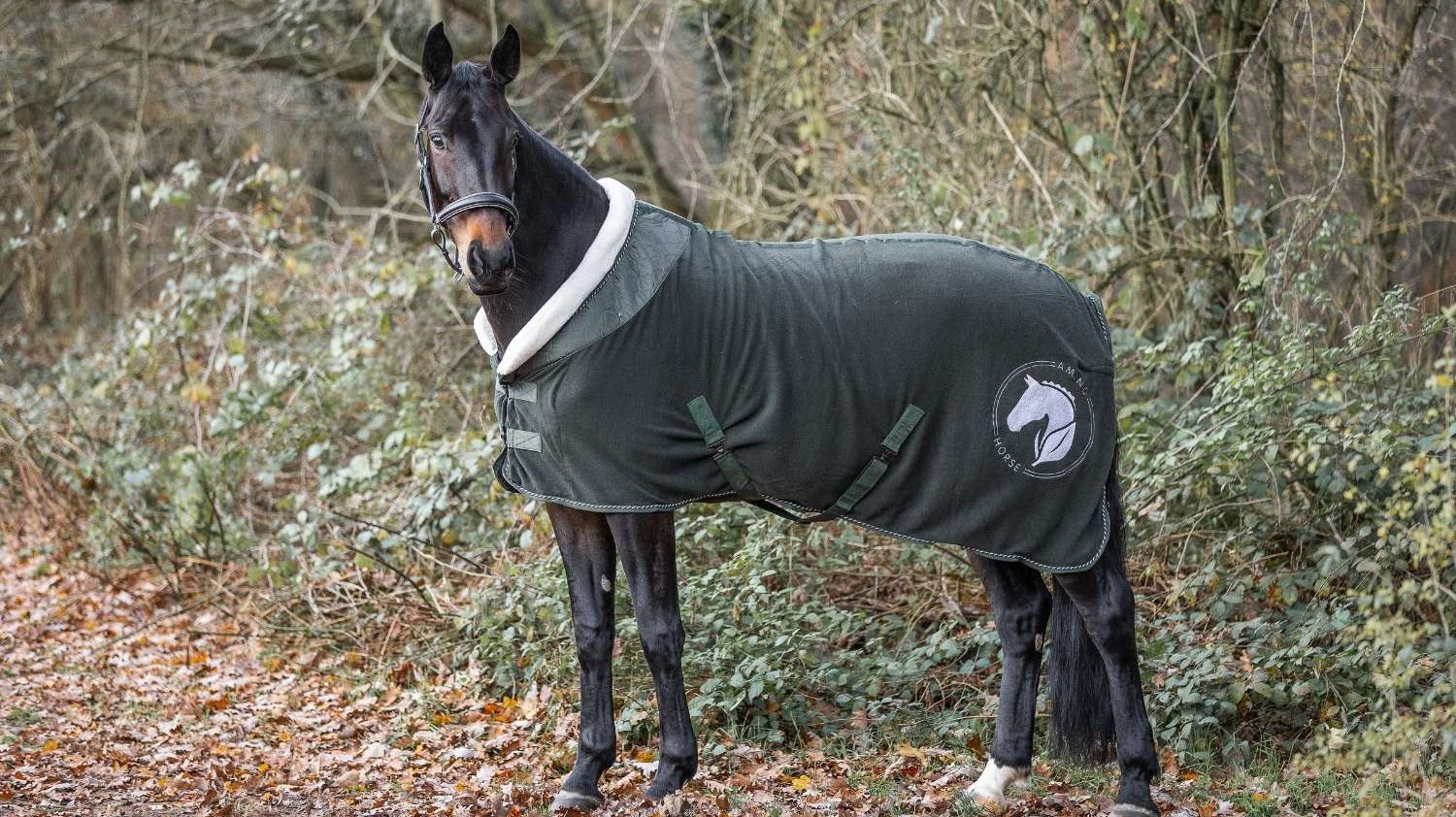 Pferde im Herbst: Fellwechsel, Futterumstellung und Stoffwechselbelastung