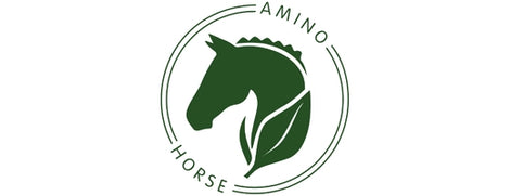 Amino Horse | Aminosäuren fürs Pferd