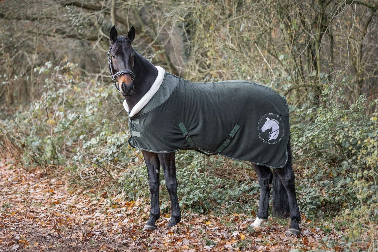 Pferde im Herbst: Fellwechsel, Futterumstellung und Stoffwechselbelastung