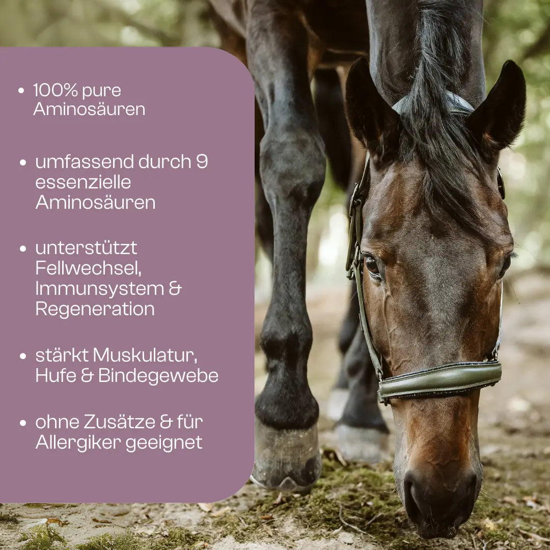 Amino Horse Aminosaeuren Vitalmix Fakten