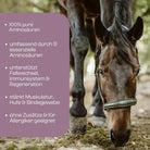 Amino Horse Aminosaeuren Vitalmix Fakten