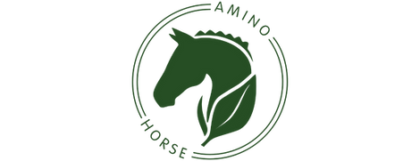 Amino Horse Logo
