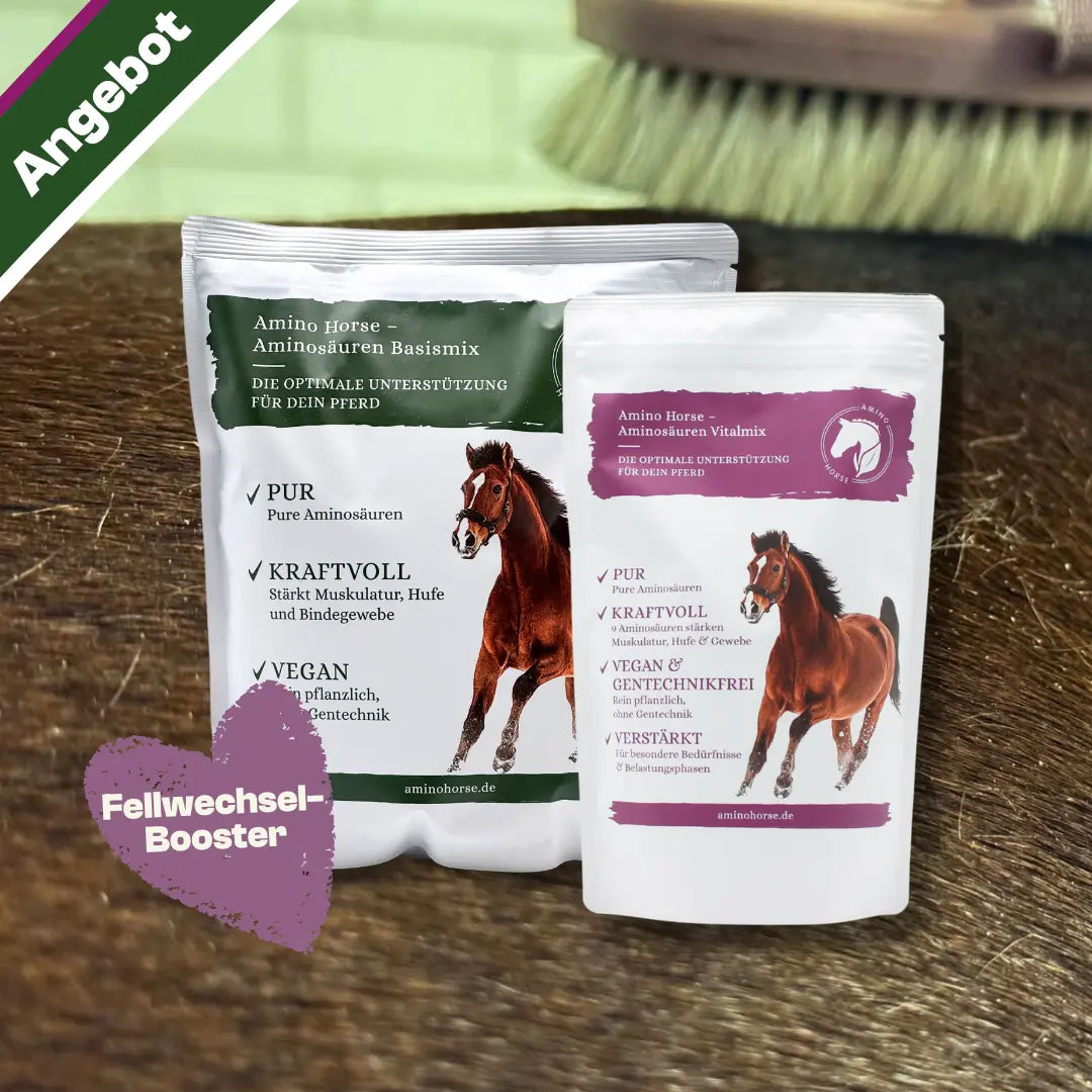 Amino Horse Aminosäuren Fellwechsel Booster Bundle Produktbild