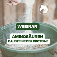 Webinare