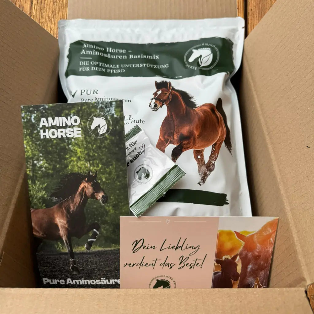 Versandkarton mit Amino Horse Aminosaeuren