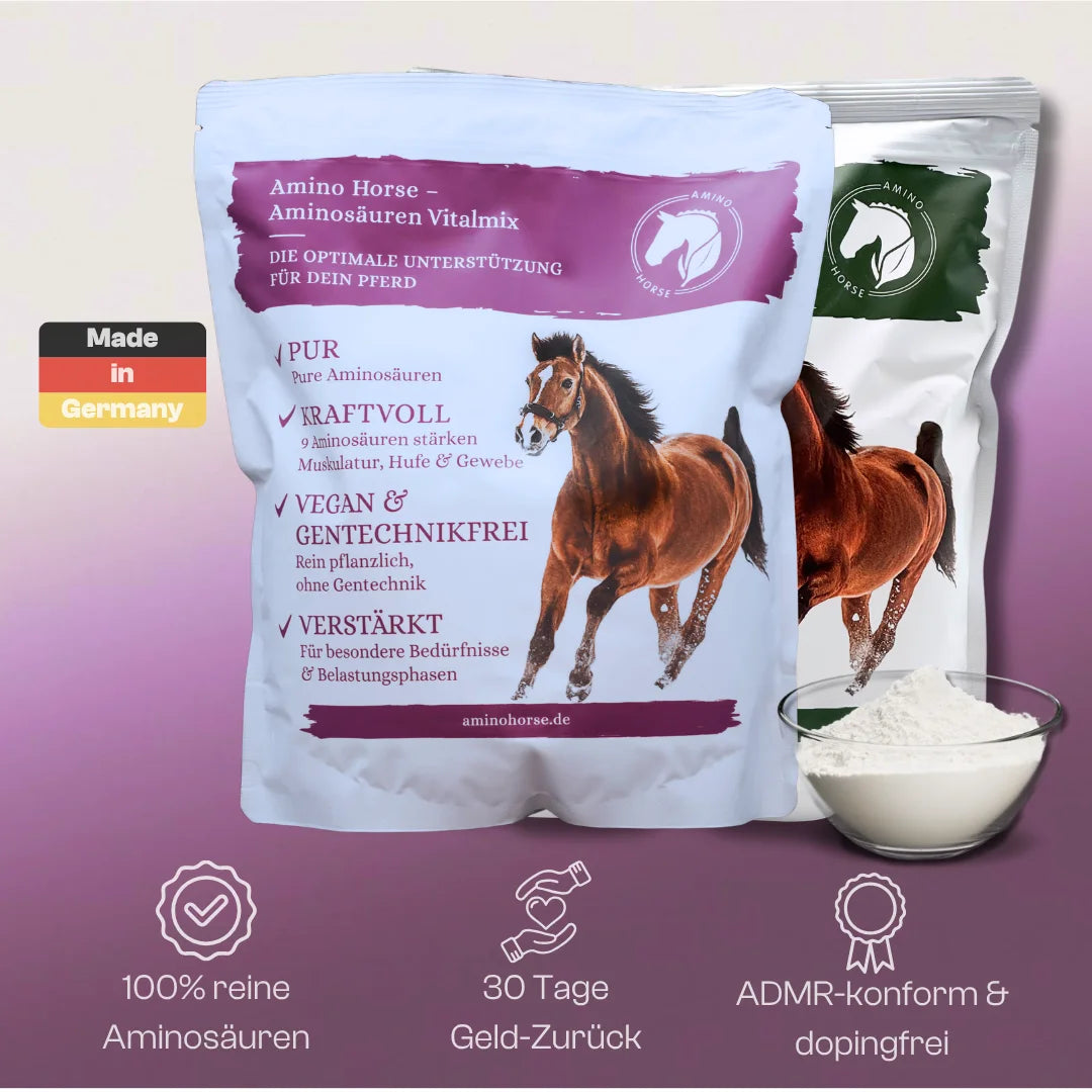 Reine Aminosäuren unterstützen im Herbst Muskelaufbau & Immunsystem deines Pferdes.