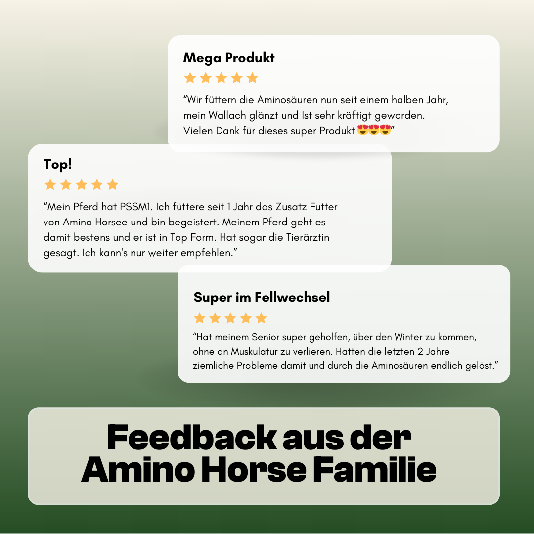 Kundenfeedback zu Amino Horse Produkten
