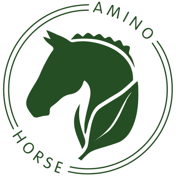Amino Horse